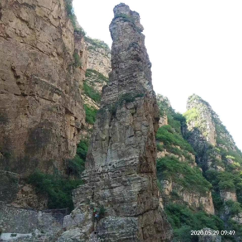 皞顺