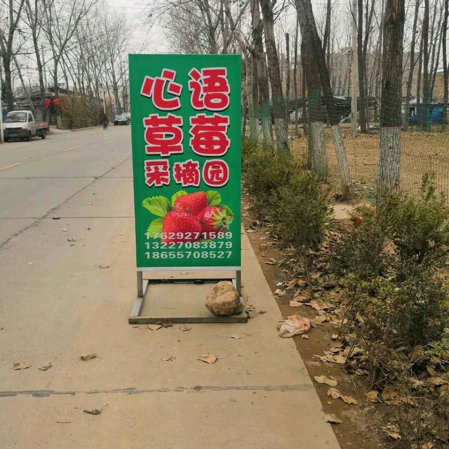 心语草莓采摘园官方号