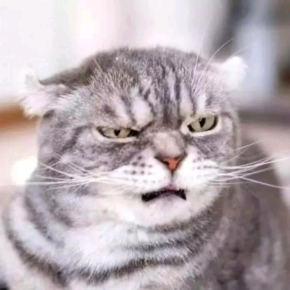 爱与诚