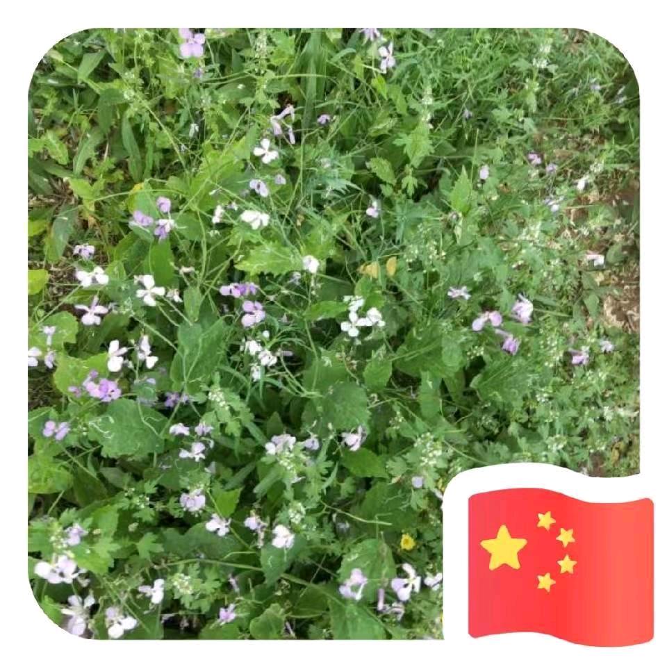 快快乐乐一家人