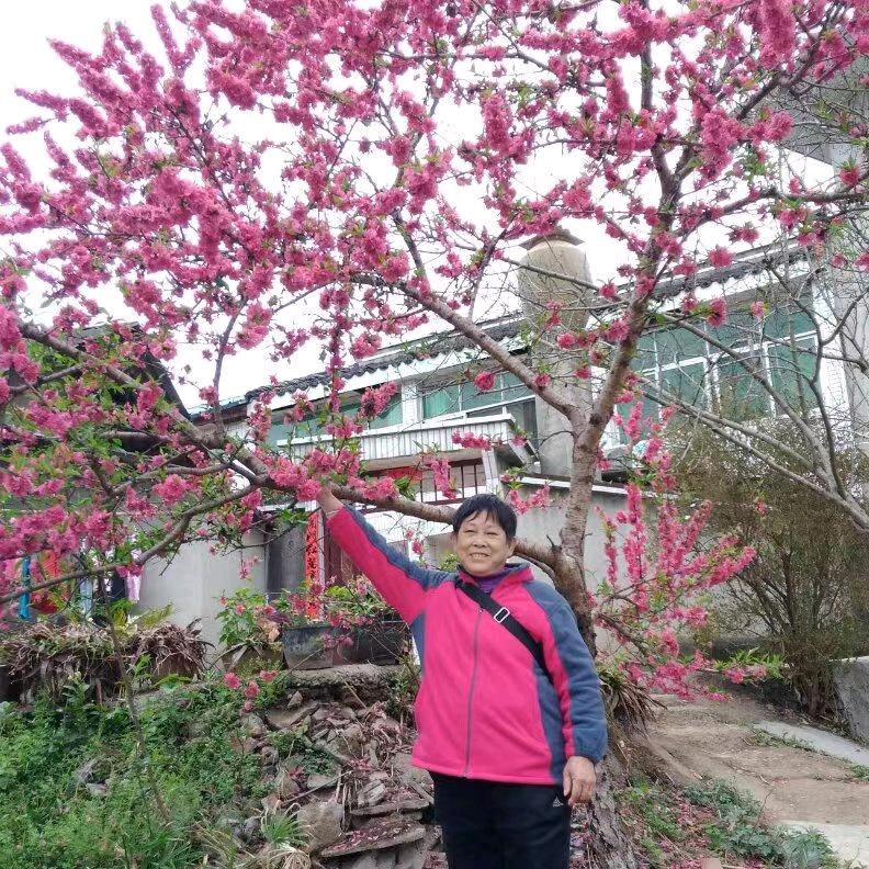 晓芳