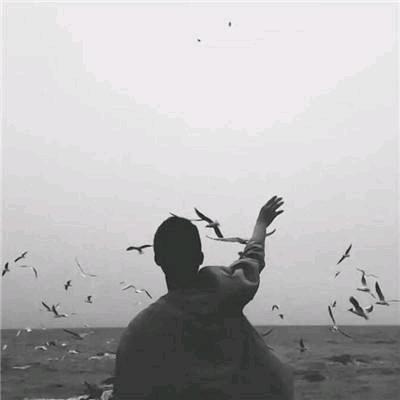 ༺鯨༒落༻