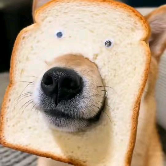 🌈一个🌈好人🌈🌈🌈