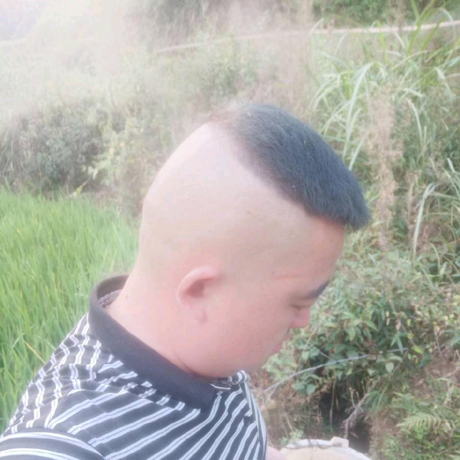 龍哥