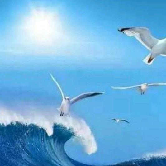 海天一色