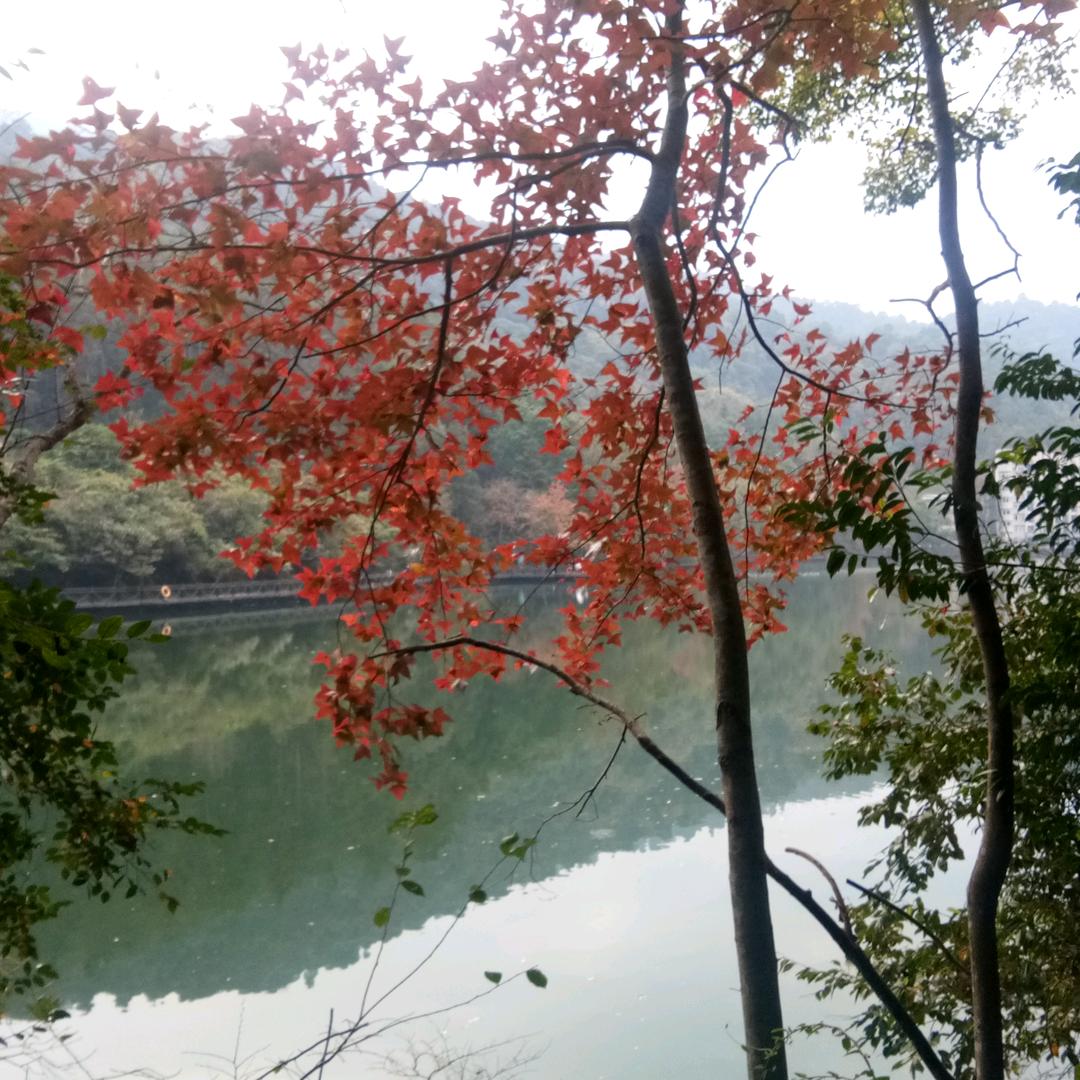 富二代