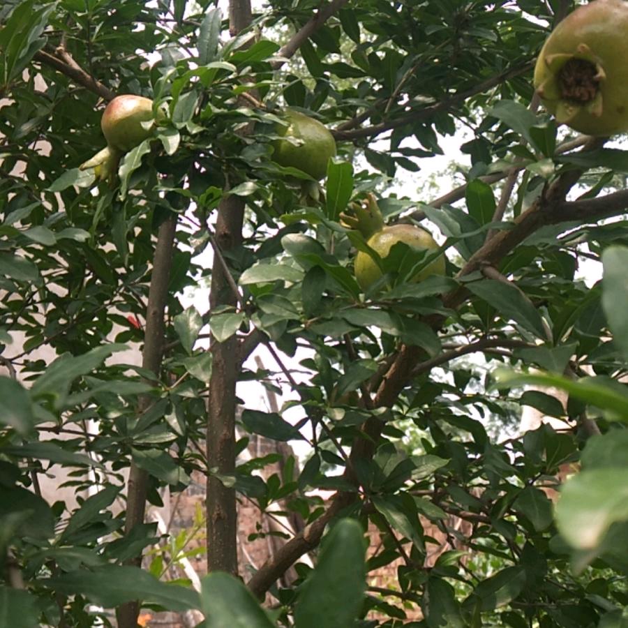 好运常伴我左右