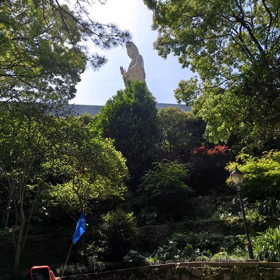 陈霖
