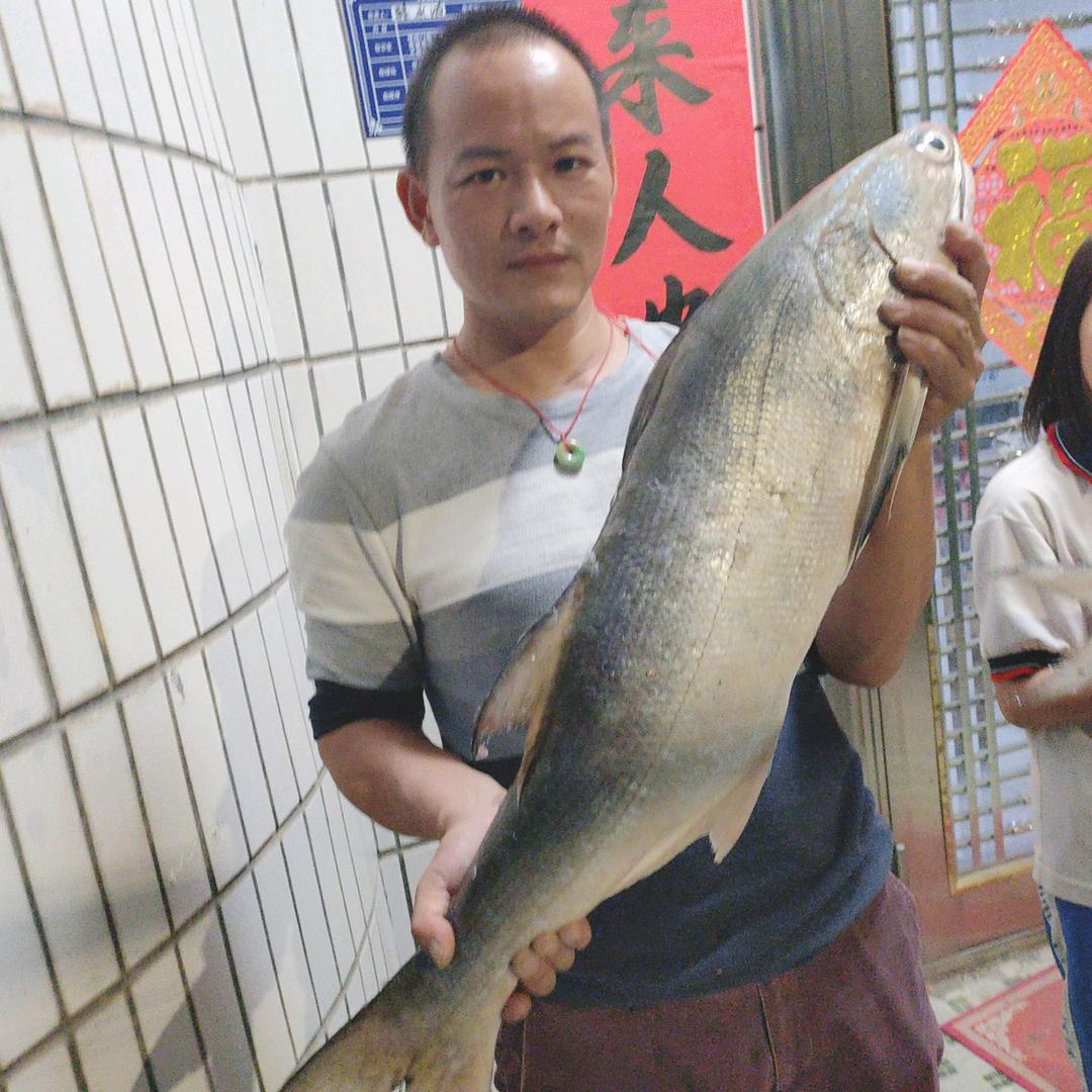 阿骆鱼干