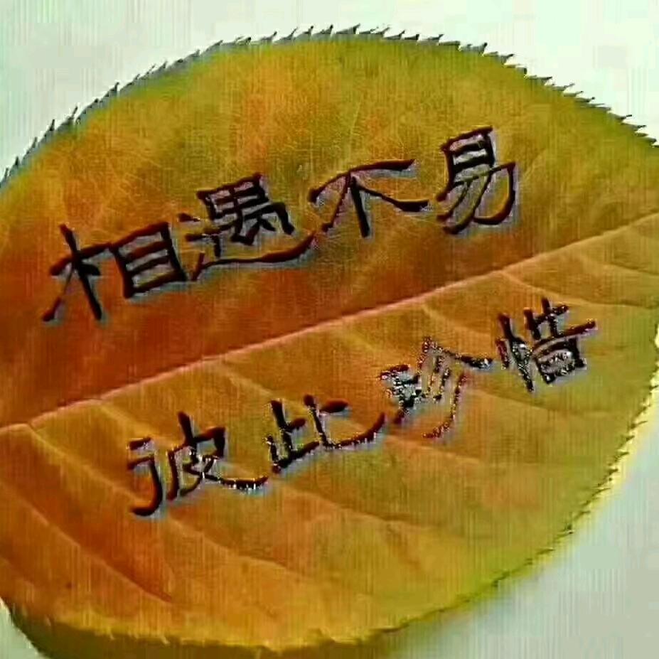 沉默不语！勇往直前！