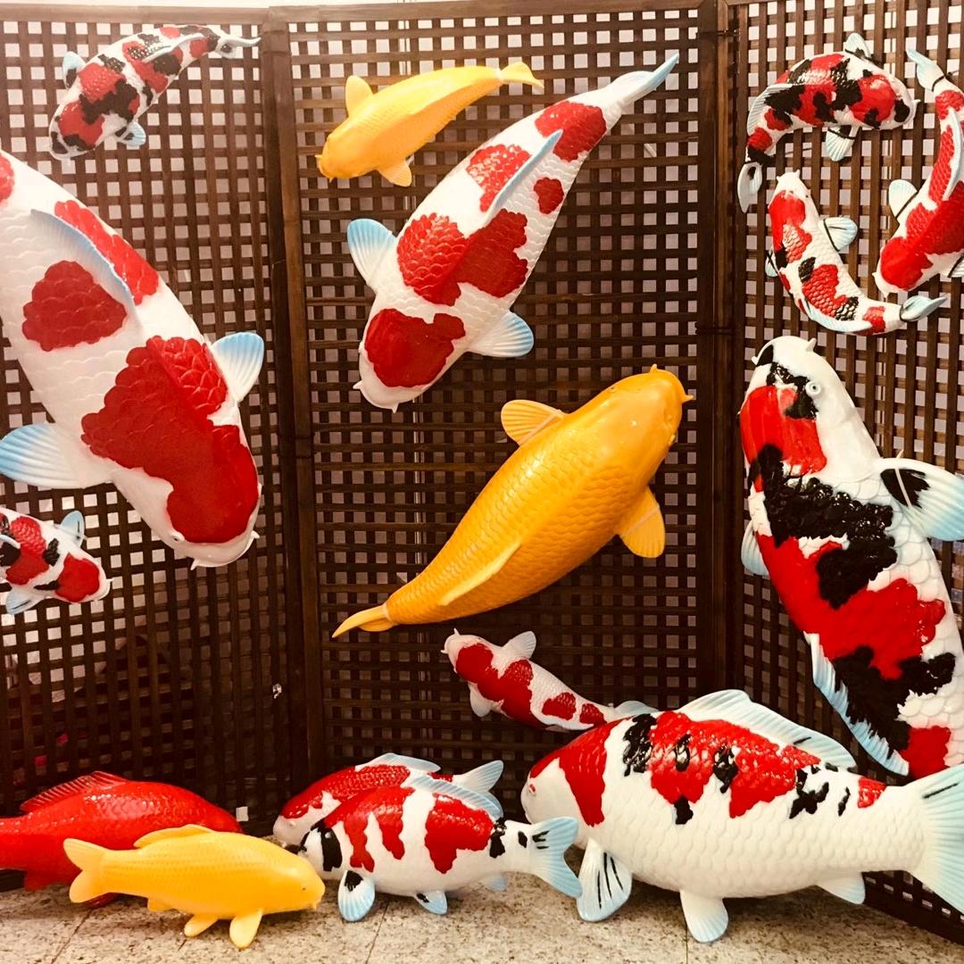 龙巅锦鲤鱼精品