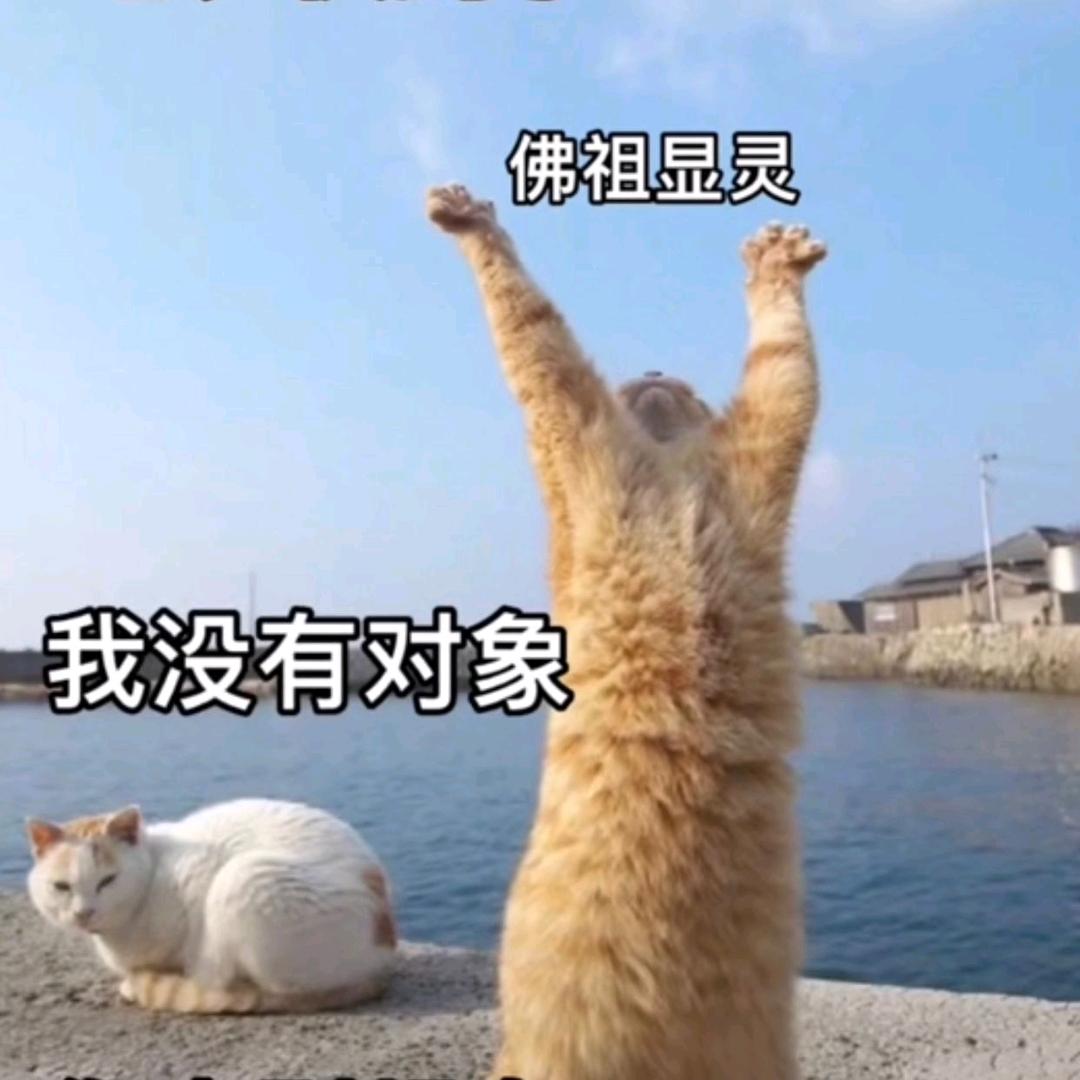 おとうさん