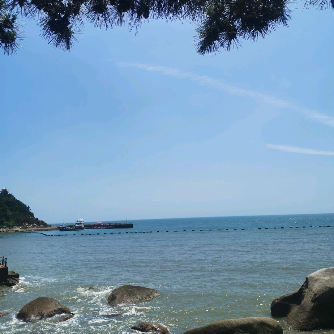 不吃香菜（硬给的除外）