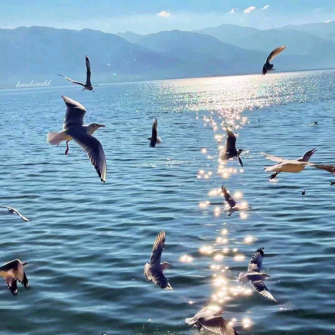 叫我小涛就行😍