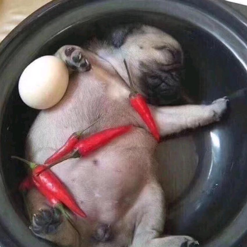 🌈🌈谦虚有礼🌈🌈