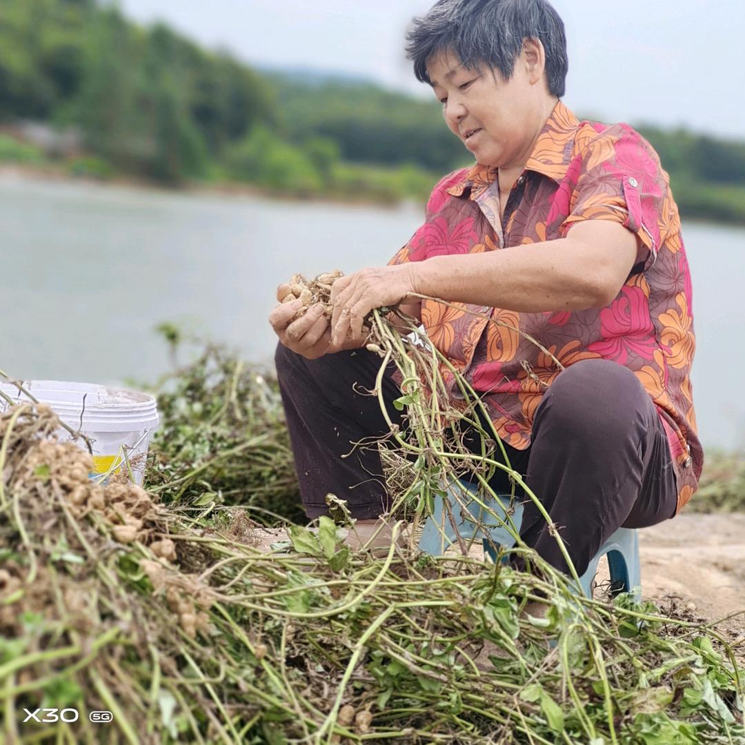 进贤方奶奶家庭农场