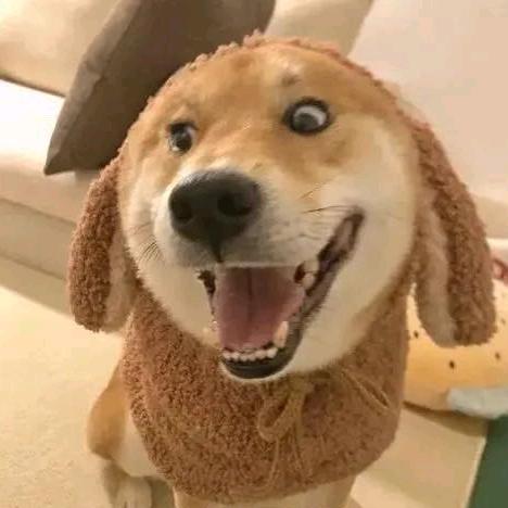 爆笑哥