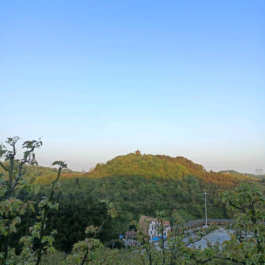 大飞哥哥