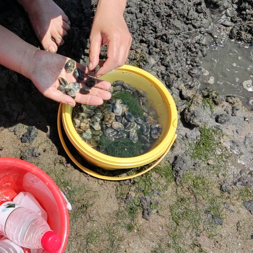 迫于无奈 改个名