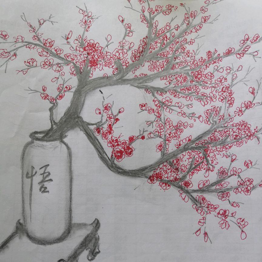 明光市金博商贸