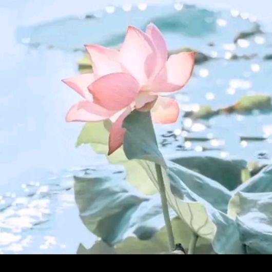 一身傲气，才是你该有的万丈光芒。
