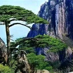 三➰畏