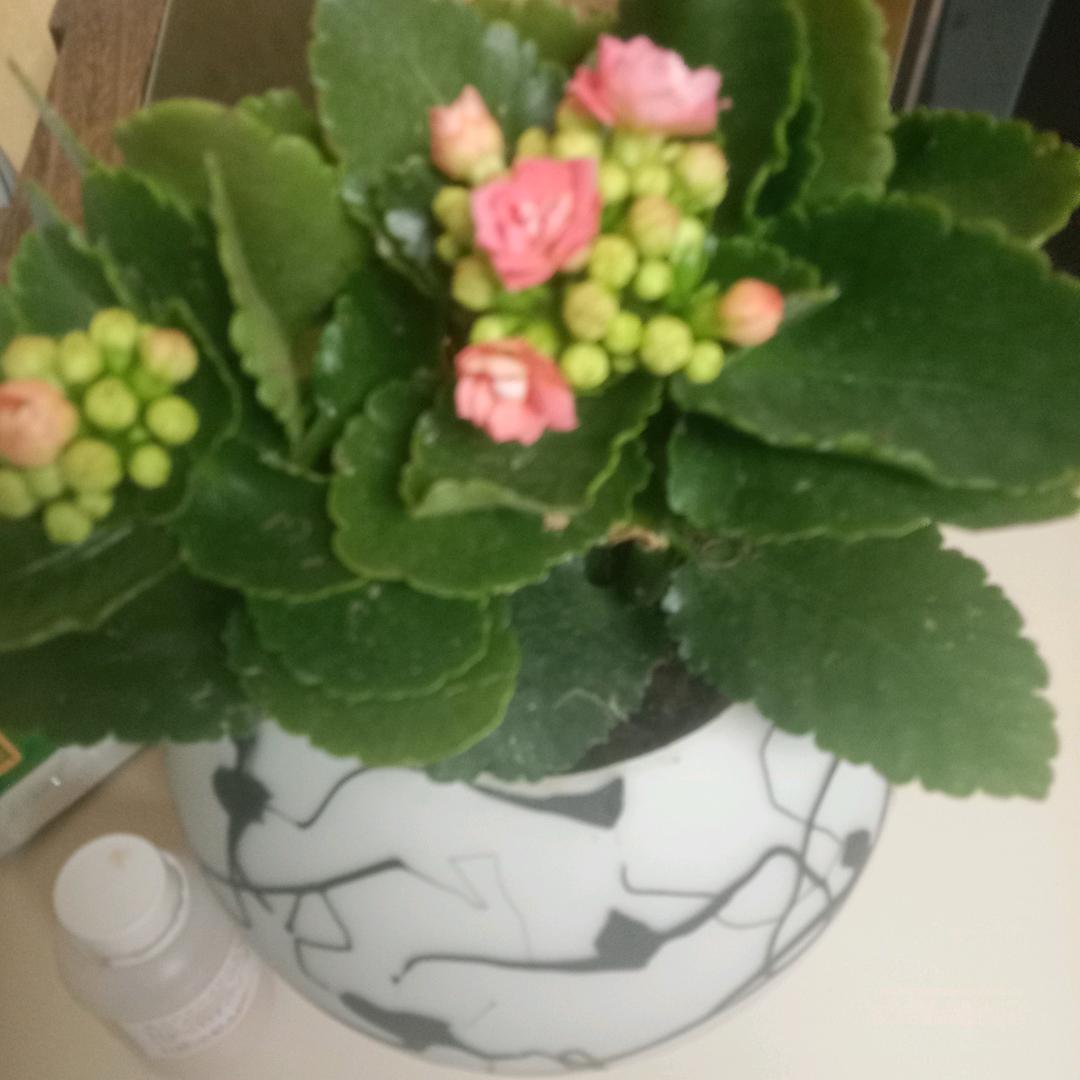 余生有你足矣