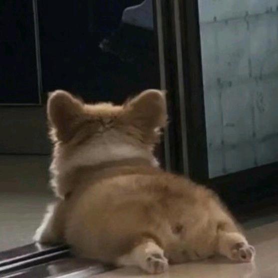 哈哈哈哈哈哈哈