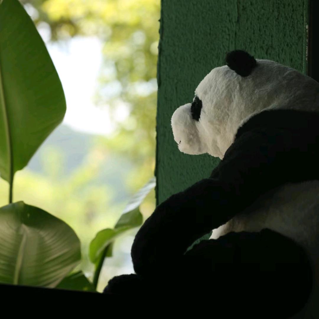 咖啡豆批发（全球各大产地品种）