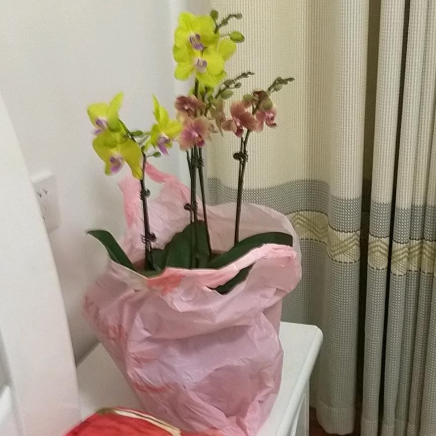 丁成信