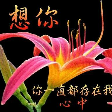 见你不如你想