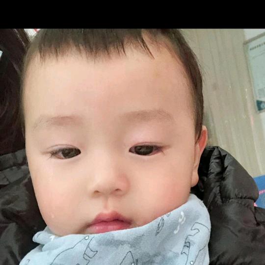 来哥
