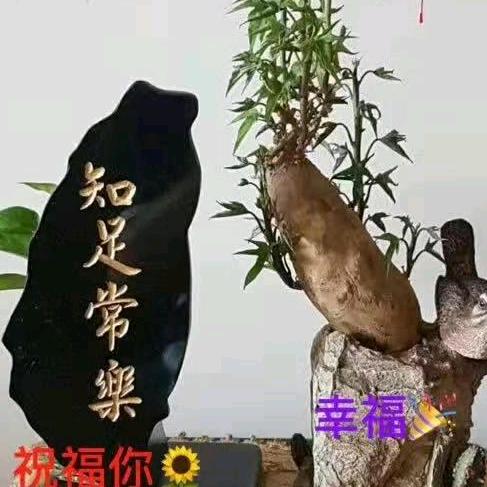 知足常乐