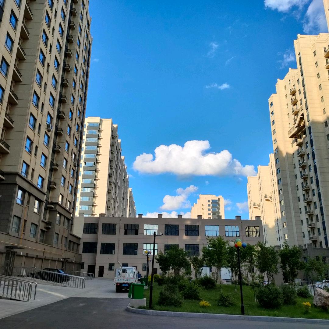 戒不掉的寶