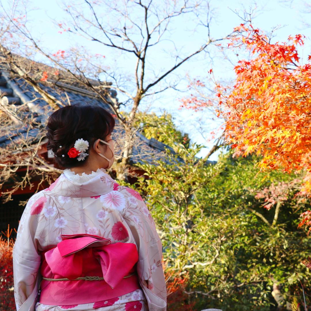 听夏hi～❤️⁶⁸⁶