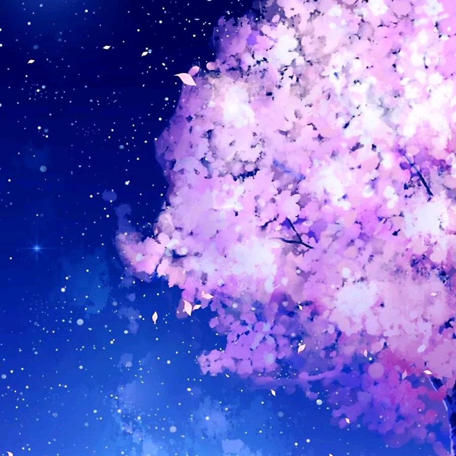 和托雷斯