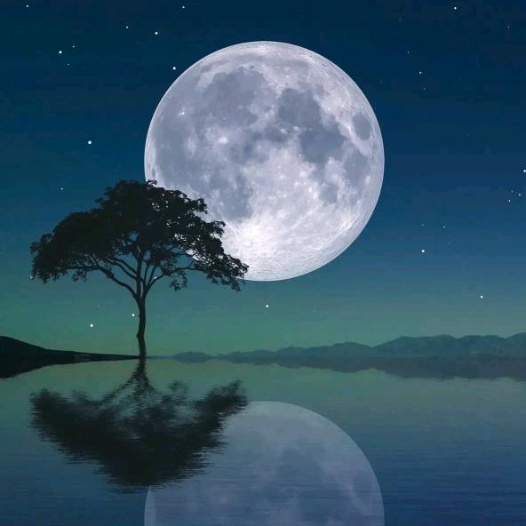 最美不过少年笑