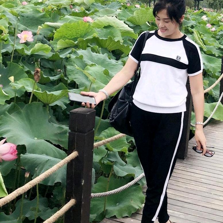 刘文。书