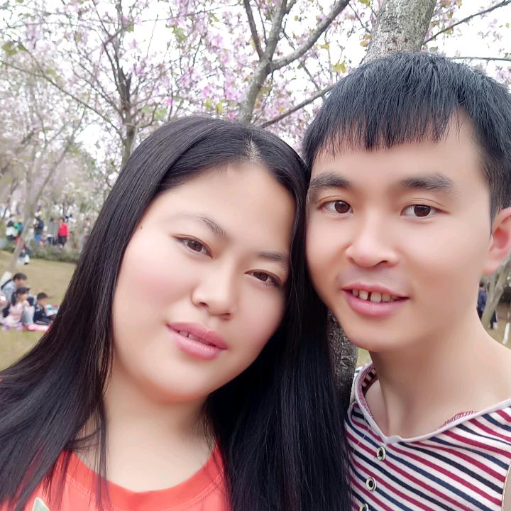 《会飞的狼》