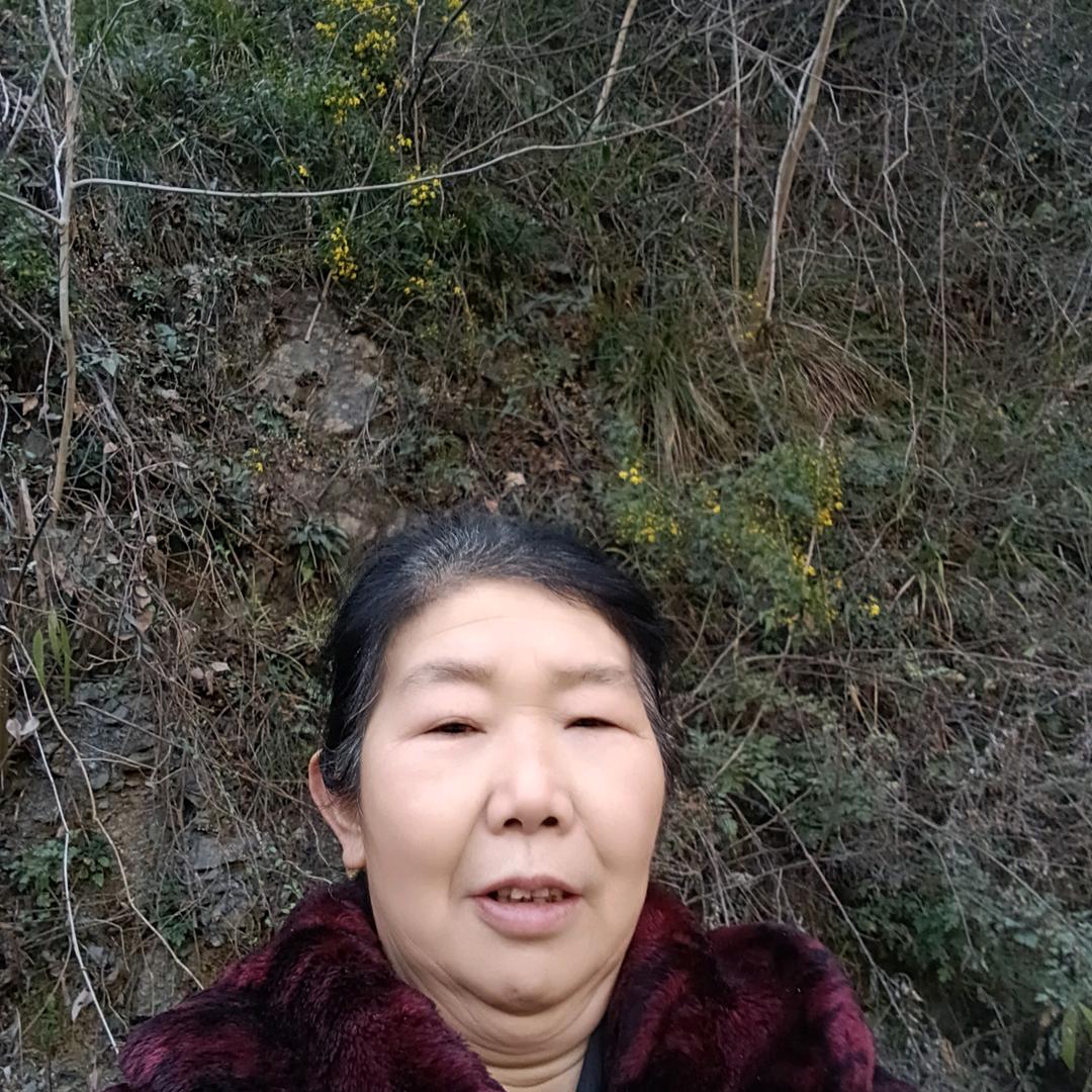 农村宝奶