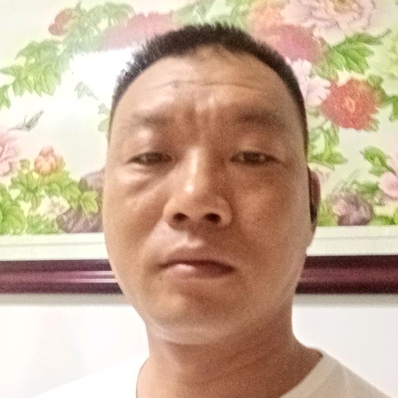 战狼《杨》6880240227991