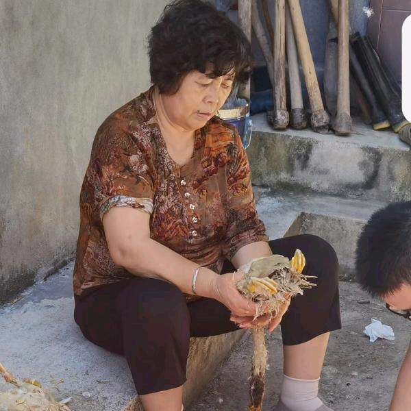桑四姐