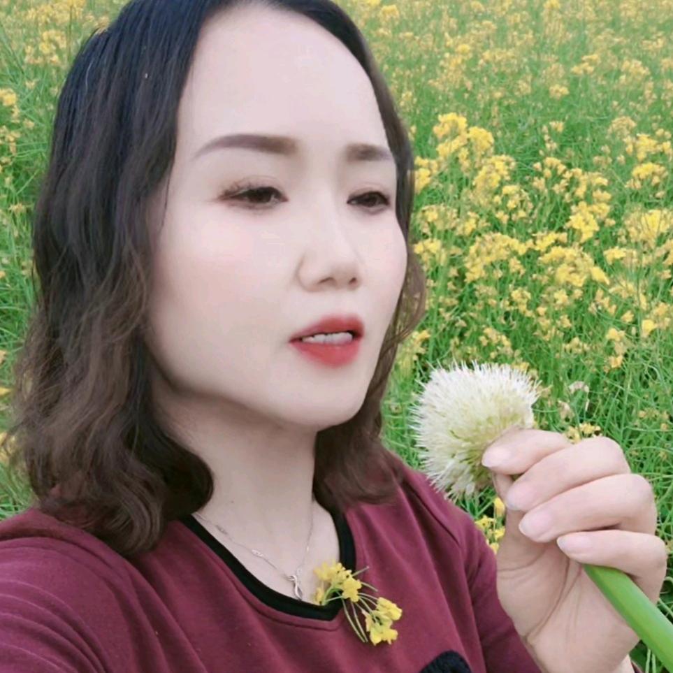 陕西姐