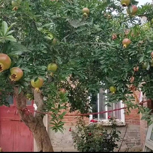 用户7923038953999