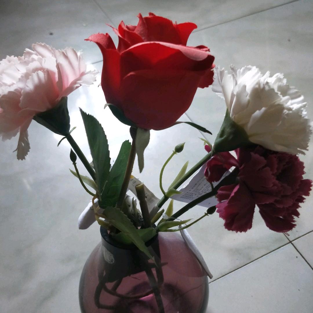 农业植保<杏花姐>