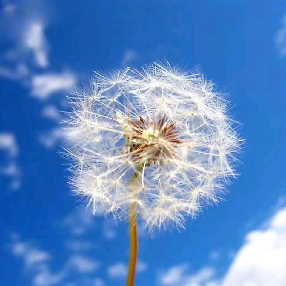 大理云龙诺邓悦楼客栈