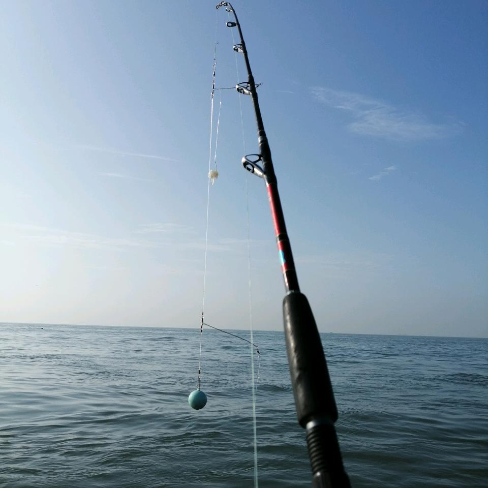 亲子互动萌宠体验乐园