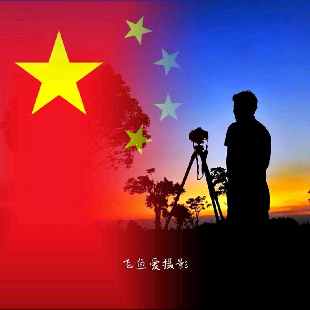 飞鱼视角📸