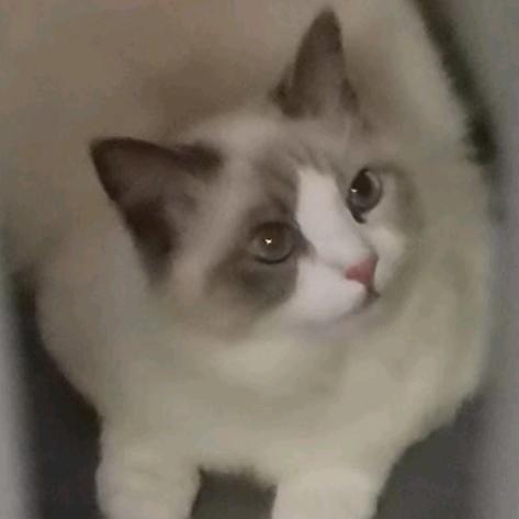 A房产～管家侠姐