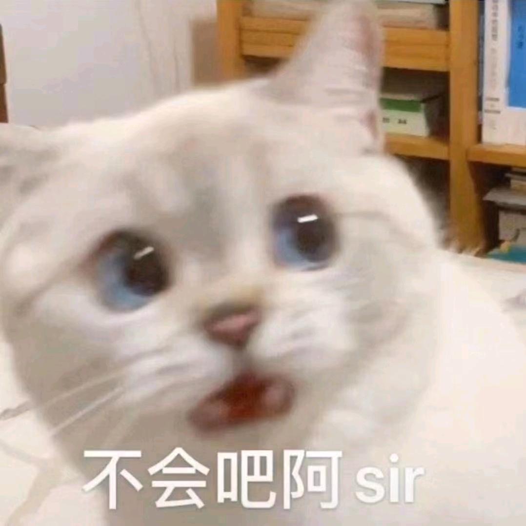 宇